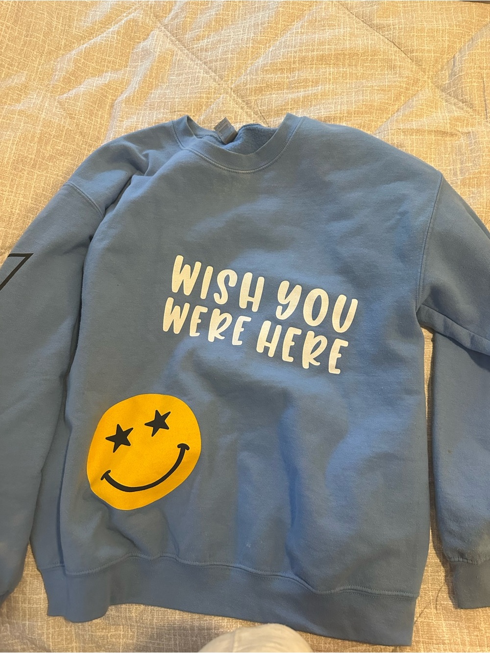 Gildan Light Blue Crewneck Sweatshirt